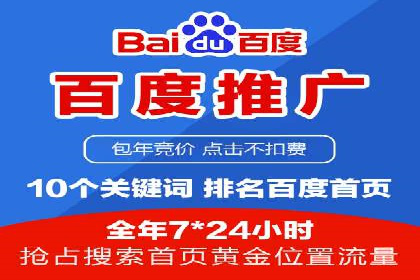 低成本高回报：百度竞价代理成功案例分析